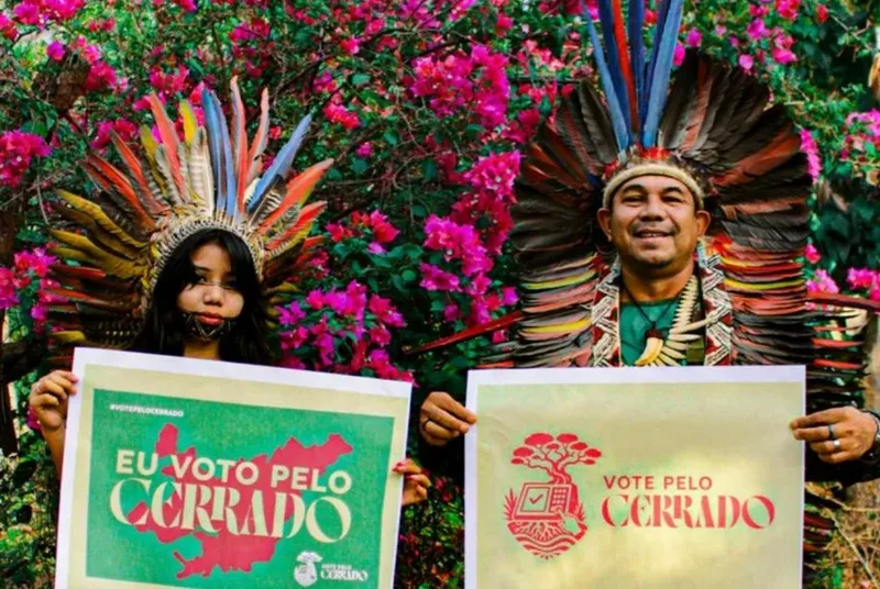 Cerrado sustenta águas e clima, e campanha leva bioma ao debate eleitoral