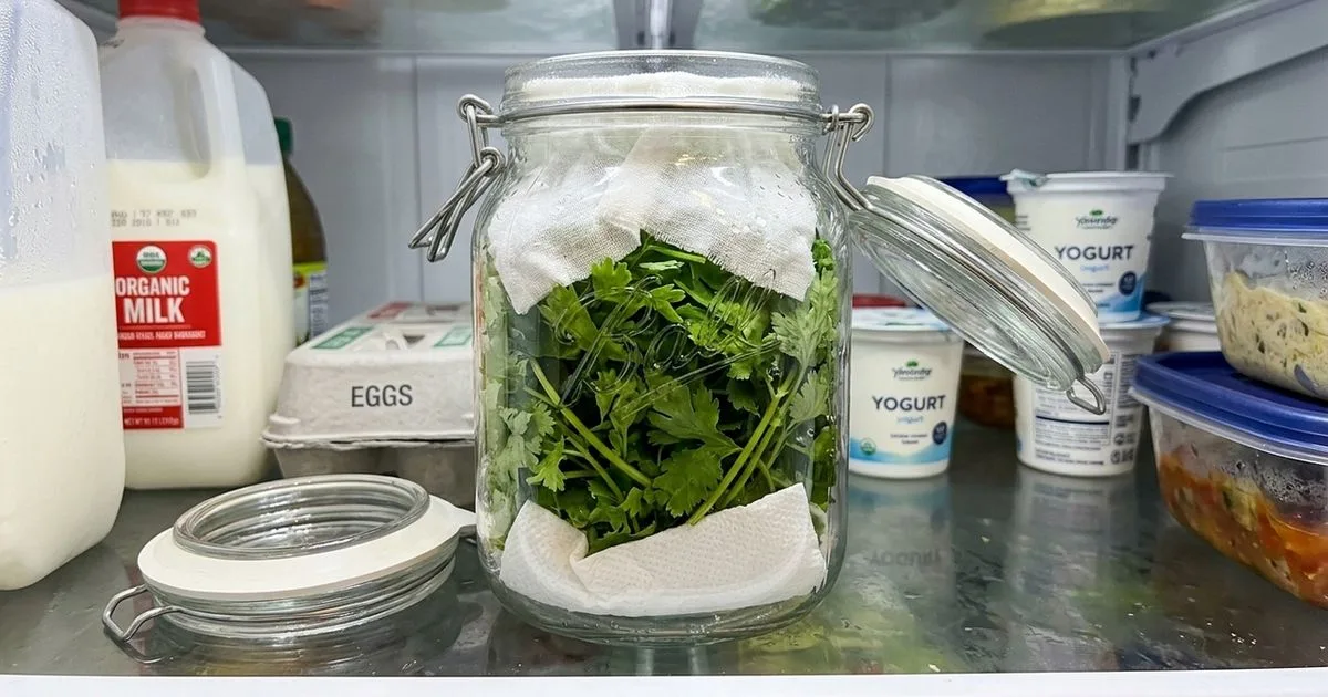 Como organizar ervas frescas para reduzir o ressecamento na geladeira