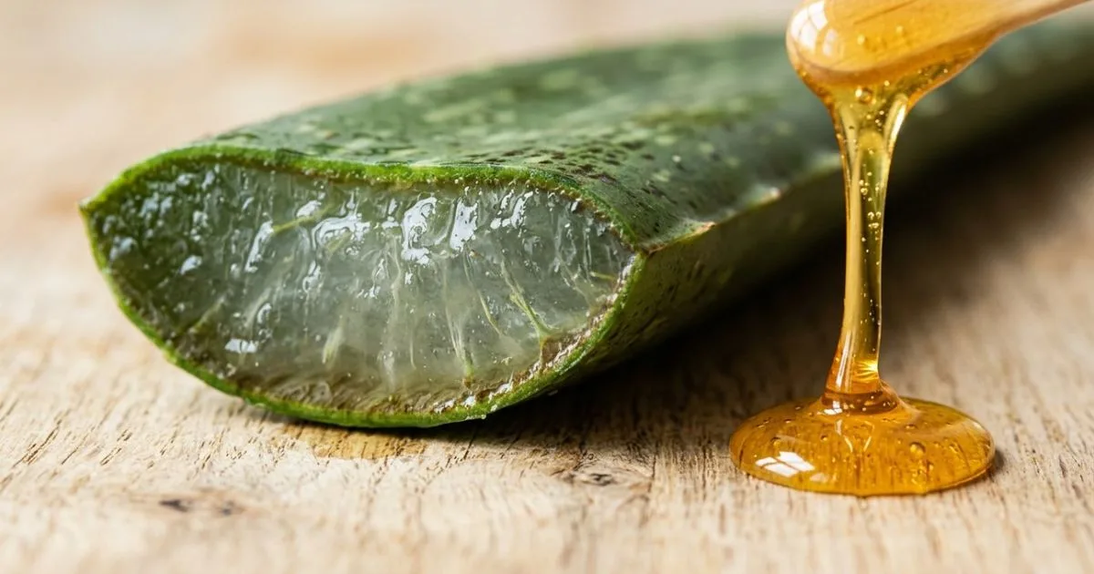 Babosa e mel: cuidados para preparar um sérum facial caseiro
