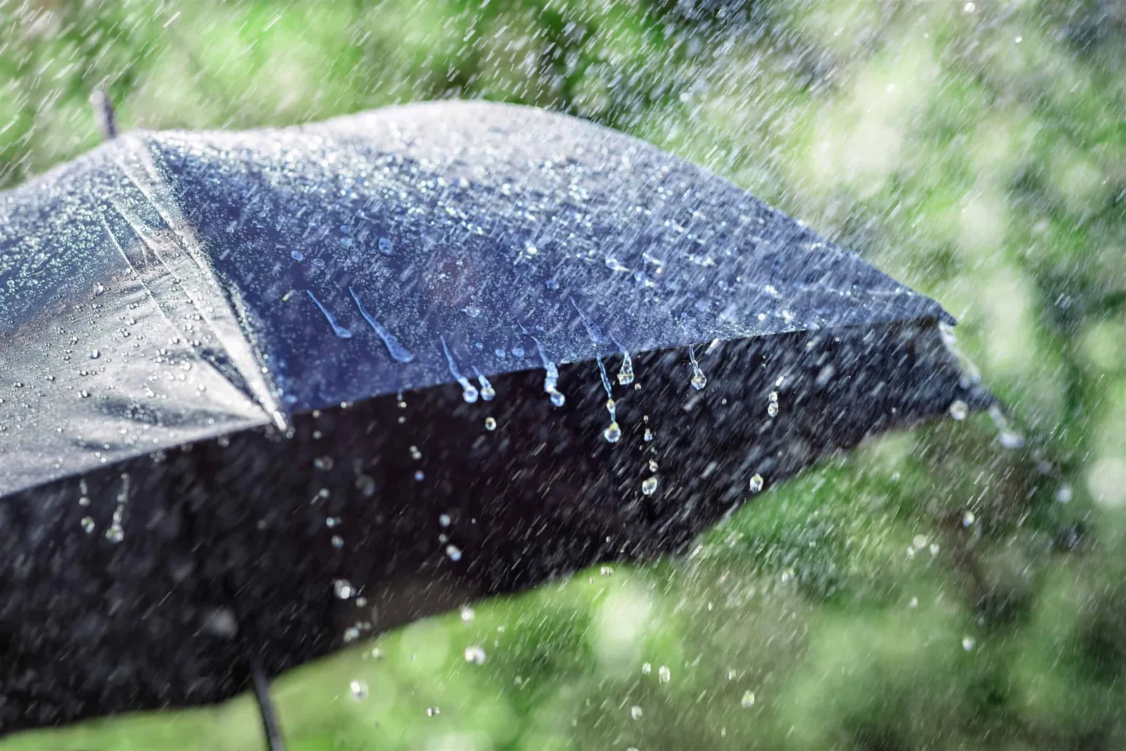 Chuvas avançam pelo Norte e Nordeste enquanto calor retorna ao Sul