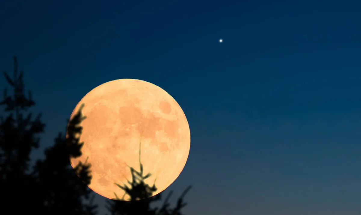 Lua Cheia marca este sábado com 100% de visibilidade
