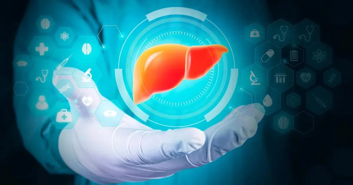 Gordura no fígado pede atenção ao metabolismo e ao risco cardiovascular