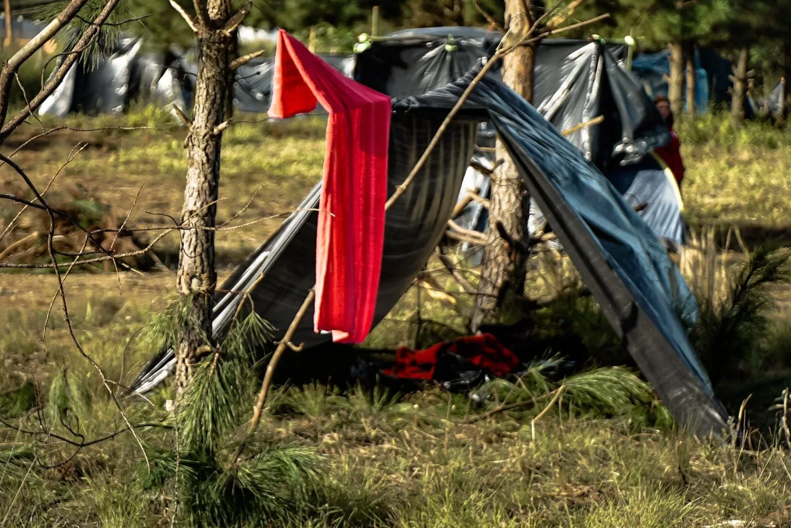 Crise habitacional expõe falhas na política de moradia social no Brasil