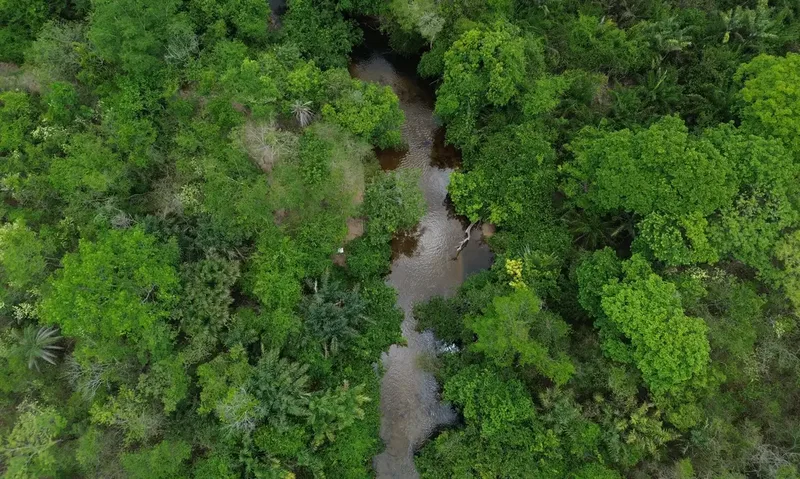 Pesquisa relaciona desmatamento amazônico à queda de chuvas no Rio Grande do Sul