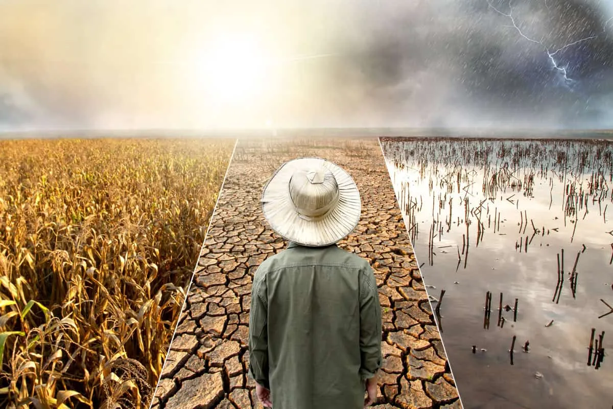 El Niño pode ser o mais forte desde 1950 e dividir o clima no Brasil