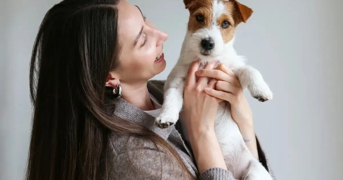 7 sinais de dor ou doença que cães e gatos podem apresentar