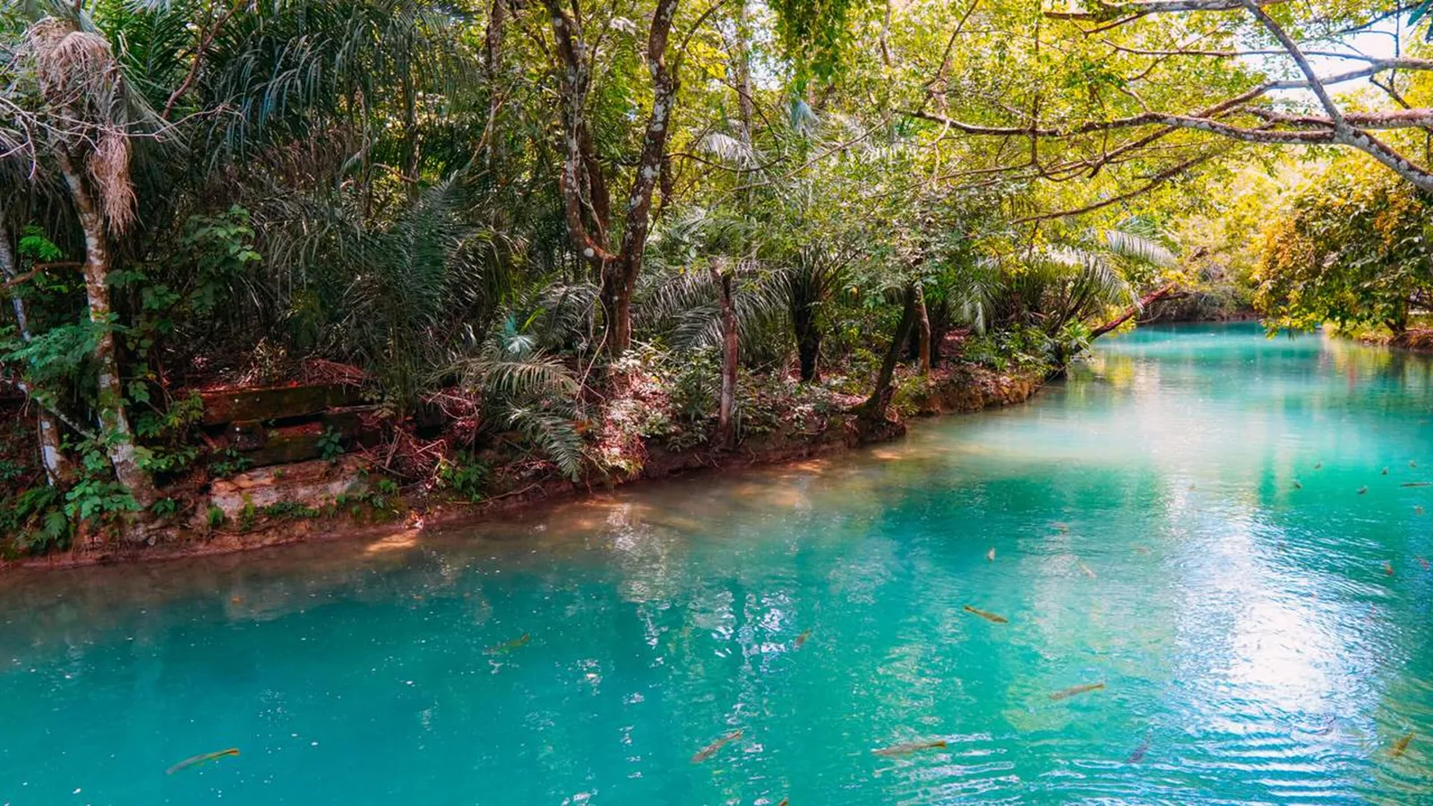 Bonito combina flutuações, grutas e cachoeiras em roteiro de ecoturismo