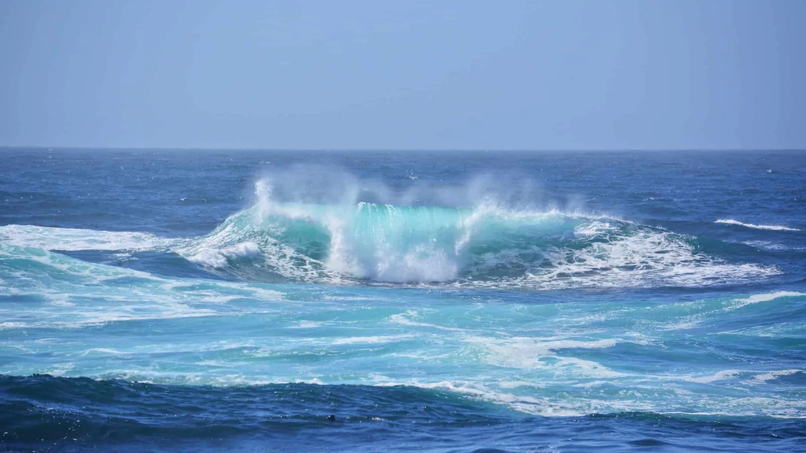 Águas do Pacífico podem perder oxigênio com mudanças na circulação oceânica
