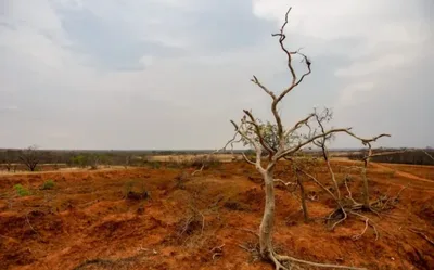 El Niño deve agravar seca e calor no oeste do Nordeste