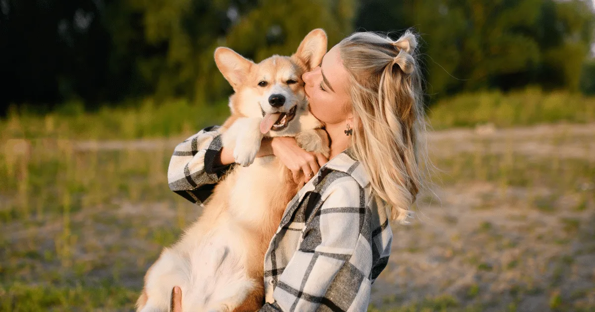 Seis comportamentos que podem indicar que o cachorro quer carinho