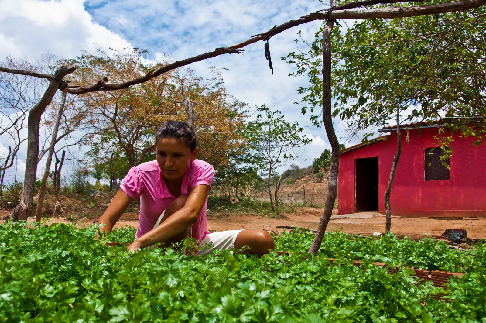 Cisternas sustentam famílias no semiárido, enquanto minas afetam comunidades do RN