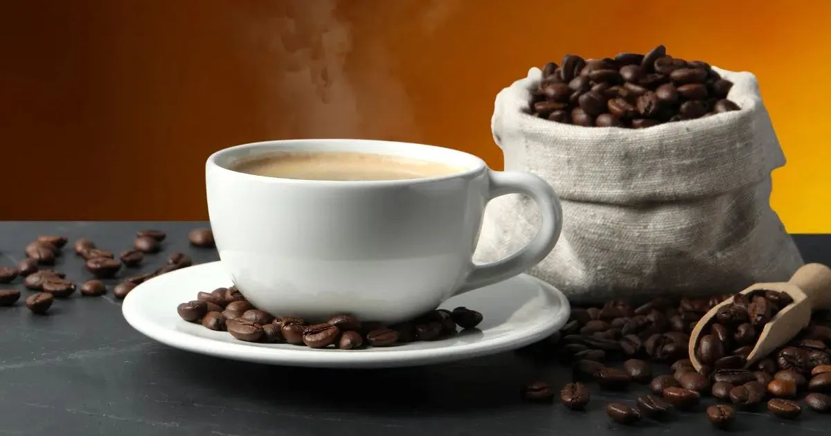 Café: efeitos no organismo e cuidados para incluir a bebida na rotina