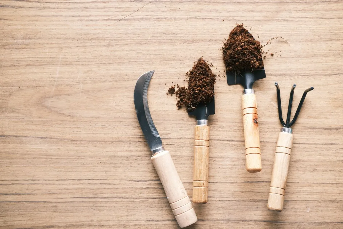 Ferramentas práticas para cuidar das plantas na primavera