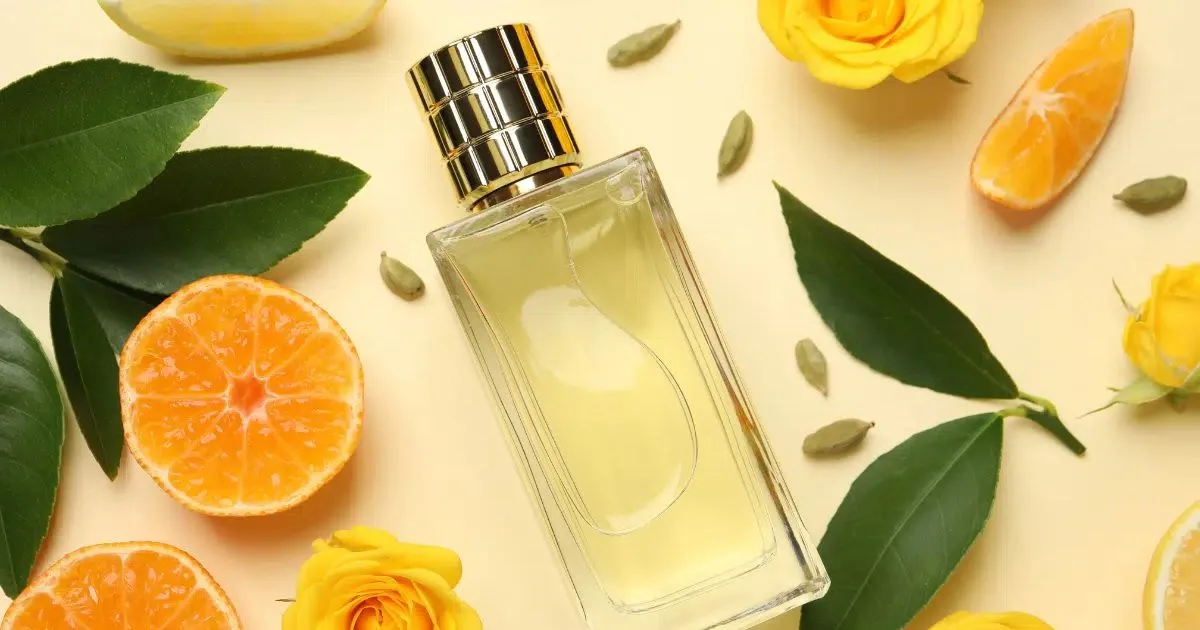 Perfumes florais para a primavera: combinações que ampliam as possibilidades