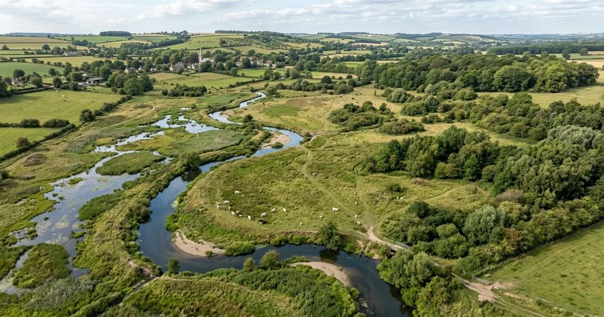 Castores e áreas úmidas ajudam a recuperar antiga fazenda em Lincolnshire
