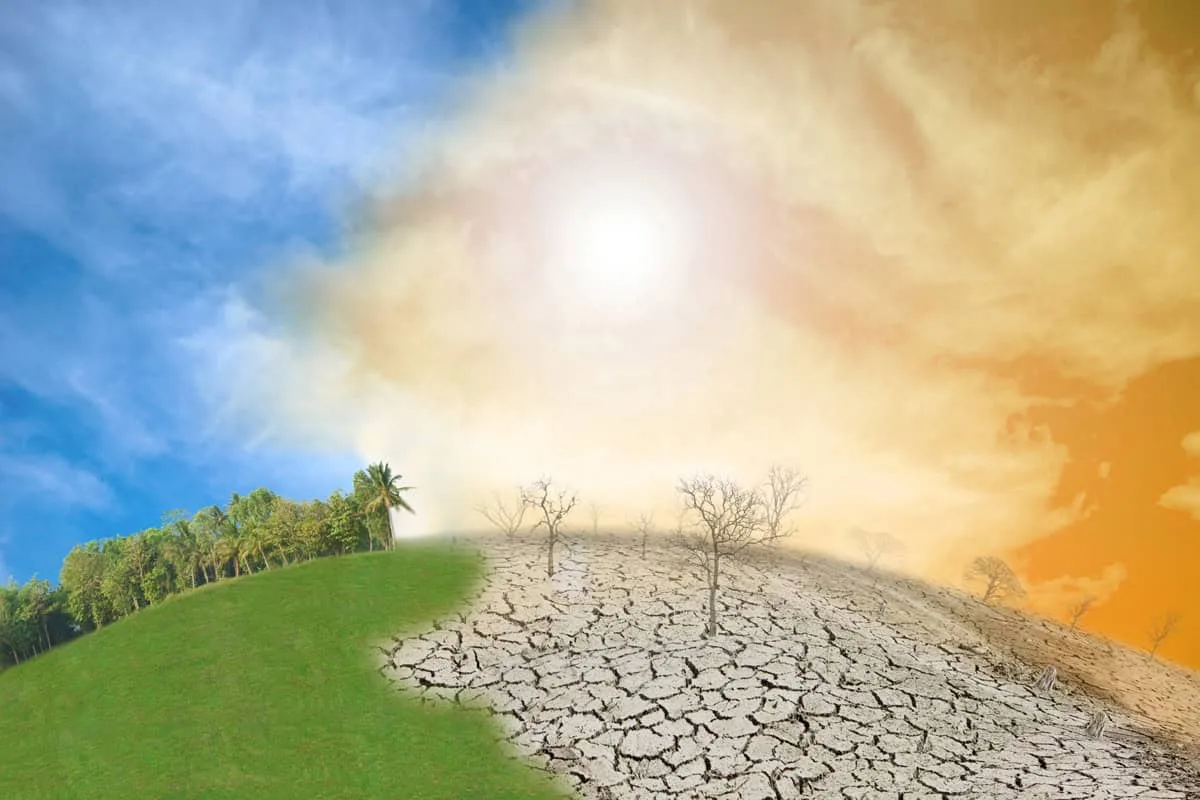 Planejamento climático pode falhar diante de desastres sem precedente histórico