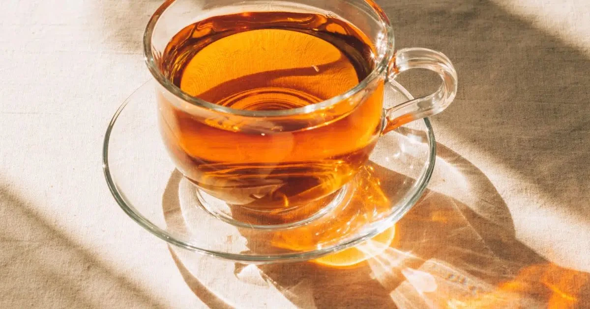 Rooibos pode substituir bebidas com cafeína em diferentes momentos do dia