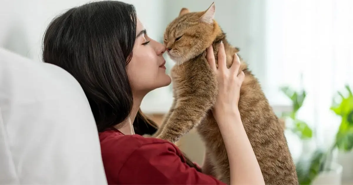 Por que alguns pets se aproximam mais de uma pessoa da casa